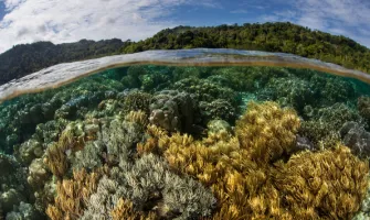 Biyolojik Çeşitliliğin Korunması ve Habitat Restorasyonu Biyolojik Çeşitliliğin Korunması ve Habitat Restorasyonu
