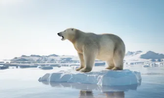 Kyoto Protokolü Kyoto Protokolü