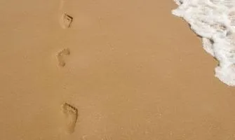 Su Ayak İzi Nedir? Nasıl Ölçülür?
