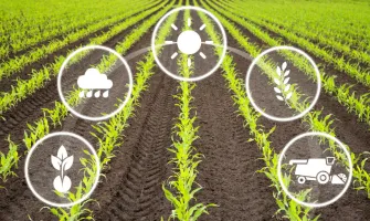 Su Verimliliği Nedir?