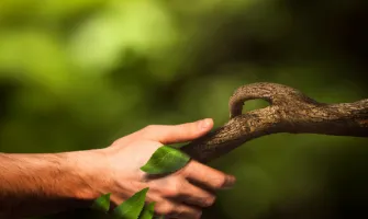 Sürdürülebilir Seyahat Doğayı ve Kültürleri Koruma Rehberi Sürdürülebilir Seyahat Doğayı ve Kültürleri Koruma Rehberi
