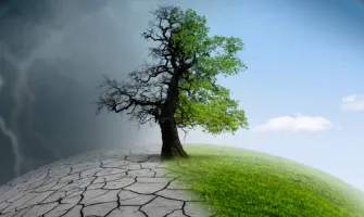 Türkiye İklim Değişikliği Finansman Mekanizmaları Türkiye İklim Değişikliği Finansman Mekanizmaları