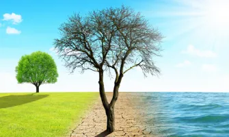 Türkiye’de İklim Değişikliğine Uyum Süreci