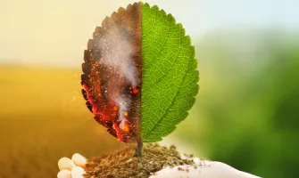 Türkiye’de ve Dünya’da YİDEP Uygulamaları Türkiye’de ve Dünya’da YİDEP Uygulamaları