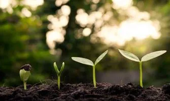 Üretim Alanında Sürdürülebilir Uygulamalar Nelerdir ve Nasıl Uygulanır?