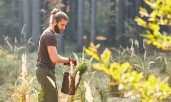 Yeniden Ağaçlandırma Nedir? Hangi Teknolojiler Kullanılır? Yeniden Ağaçlandırma Nedir? Hangi Teknolojiler Kullanılır?