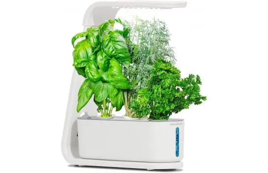Aerogarden Soilless Indoor Garden, Sprout and Gourmet Herbs Seed Kit - White