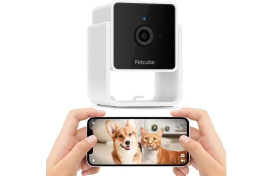 Petcube Cam İç Mekan Wi-fi Evcil Hayvan Ve Güvenlik Kamerası - Telefon App