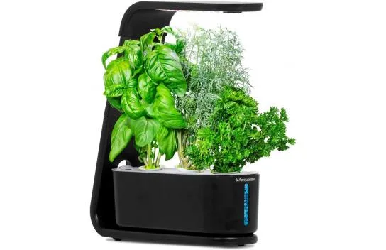 Aerogarden Soilless Indoor Garden, Sprout and Gourmet Herbs Seed Kit - Black