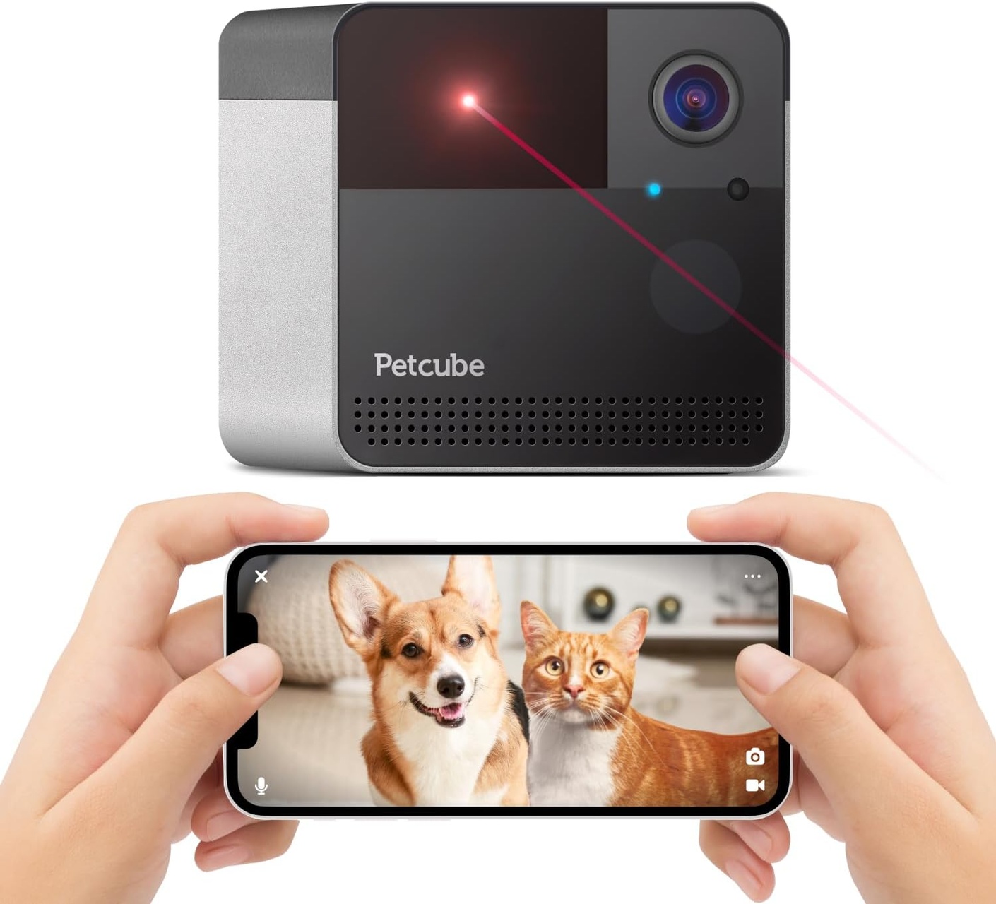 Petcube care clearance