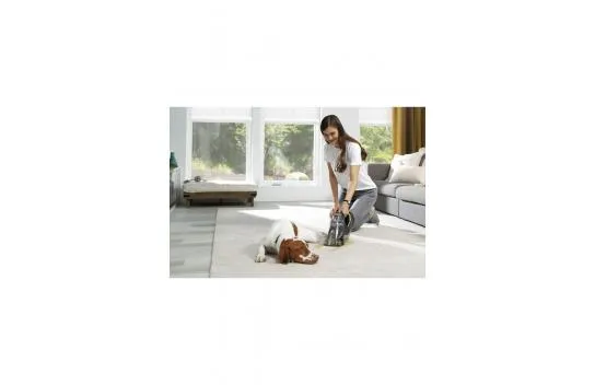 Pet Stain Eraser Effective Against Pet Stains Carpet - Sofa Washing and Stain Removal Machine