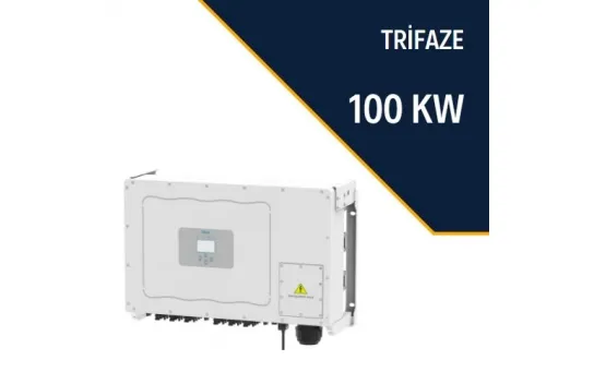 Deye 100KW On-Grid Three Phase Inverter
