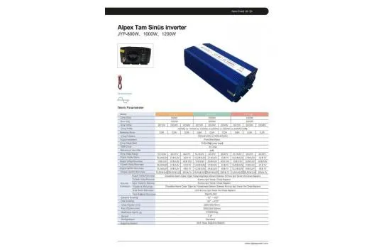 Alpex 1000W 24V/220V Converter Inverter