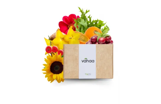 Vahaa Experience Kit (Does Not Contain Seeds)