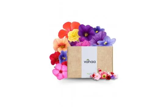 Edible Flower Kit