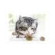 Kotyora Cat Herb Play Ball Cat Mint